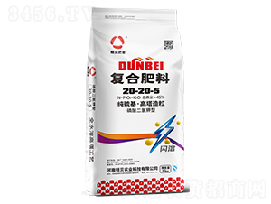 ͺϷ20-20-5-DؐʘI(y)