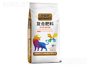 ۾SͺϷ17-17-17+TE-DؐʘI(y)