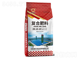 ͏ͺϷ28-13-10-DؐʘI(y)