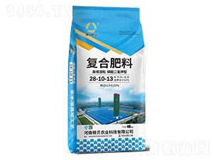 ͏ͺϷ28-10-13-DؐʘI(y)