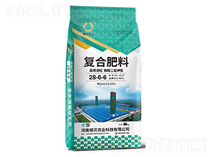 ͏ͺϷ28-6-6-DؐʘI(y)