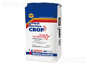 ʩԪˮܷ12-40-8+TE+Ca-AӢ