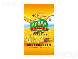 IB(yng)؏(f)Ϸ25-10-5--зʷʘI(y)