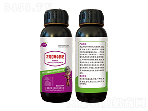 r(nng)ٲвˎ-r(nng)r(nng)I(y)