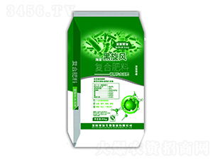 (f)Ϸ-L(fng)-Ӣؐ-еr(nng)