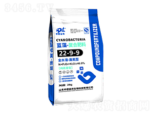 ߵ͏(f)Ϸ22-9-9-{(ln)-еr(nng)