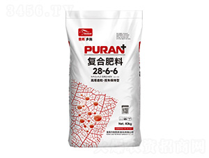 ʧ͏(f)Ϸ28-6-6-۶ʩ