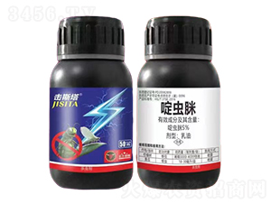 5%x(chng)-˹-ţ(gu)H